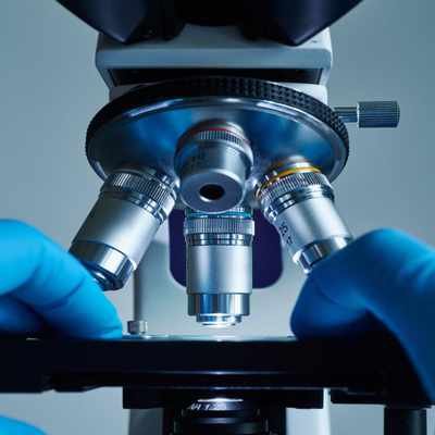 Forecast of the development of the market for laboratory diagnostic services in India