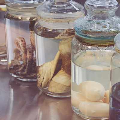 Forecast of Formalin Market Development in India