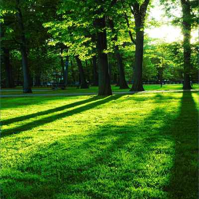 Market Forecast for Natural Parks in India