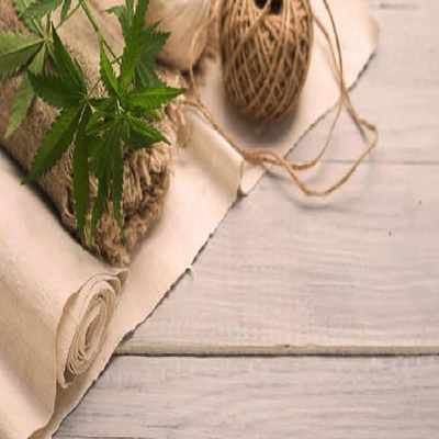 Analysis of the Bleached Pulp and Cottonine Market in India