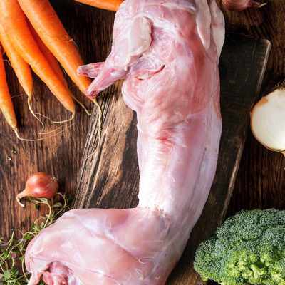 Analysis of the rabbit meat market in India