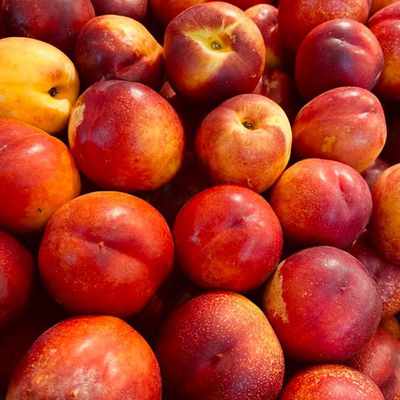 Market analysis of nectarines in India