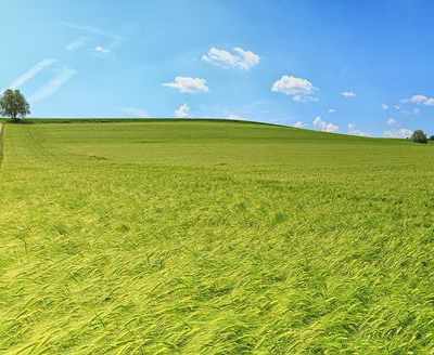 Analysis of the market for the sale of agricultural land in India