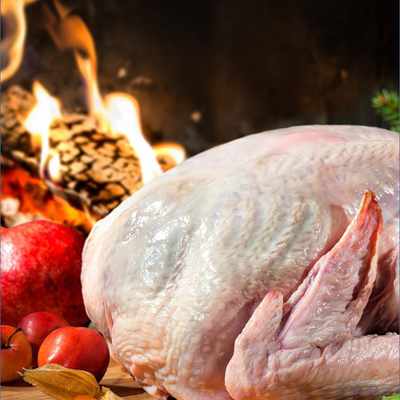 Turkey Market Analysis in India