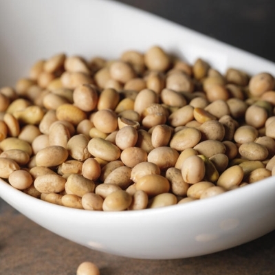 Analysis of the soybean market in India