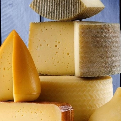 Overview of hard and semi-hard cheese producers in India