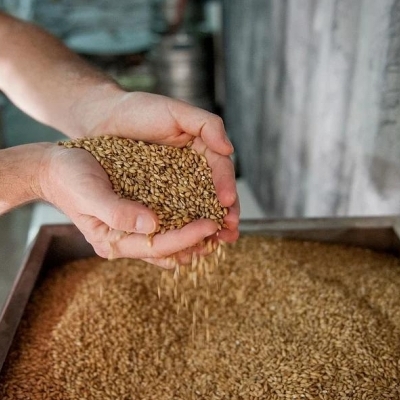 Analysis of the malt market in India