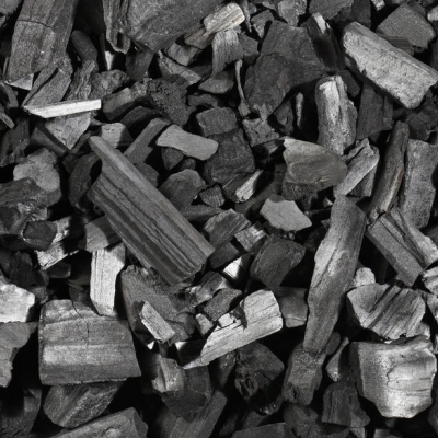 Charcoal production business plan